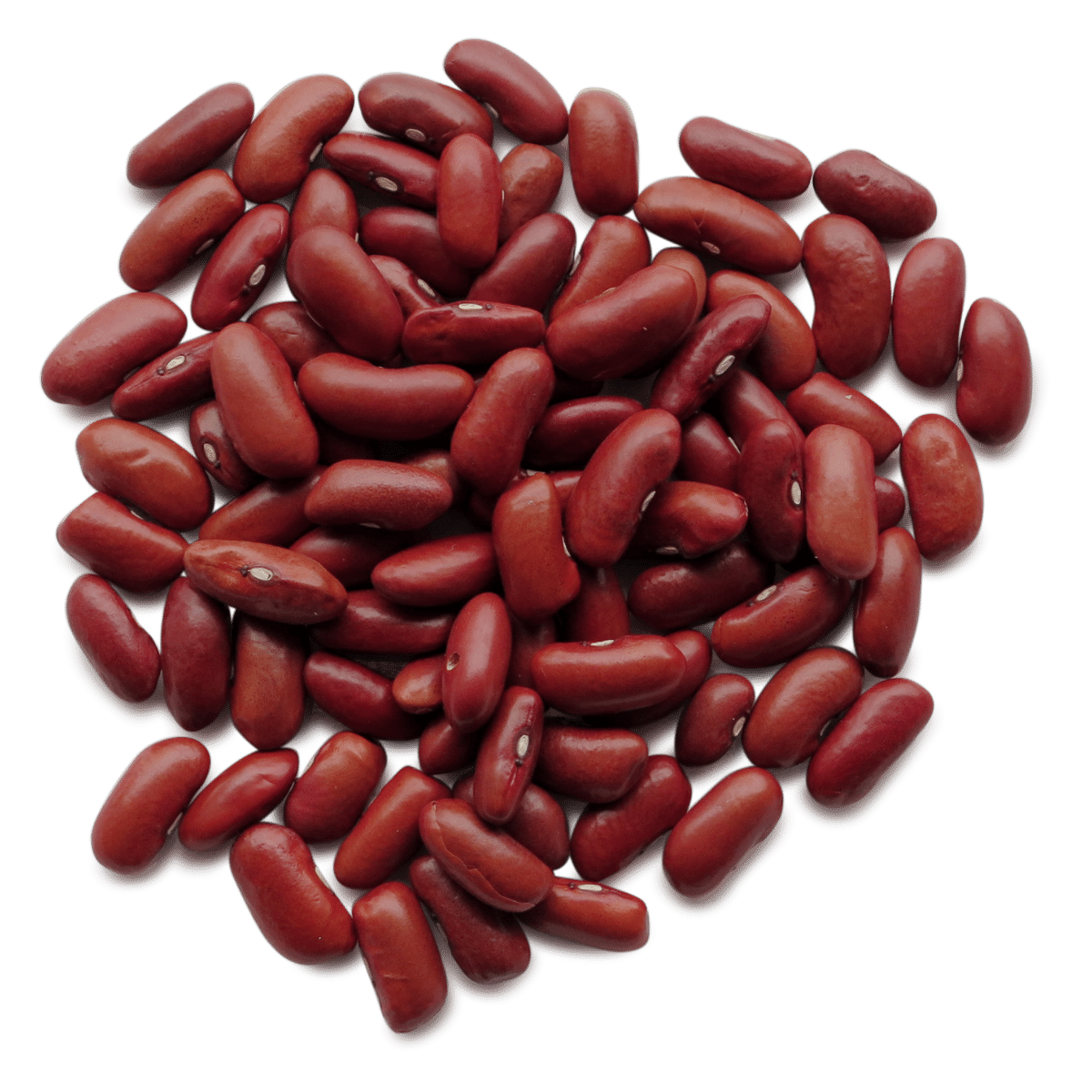 Red Beans Photo