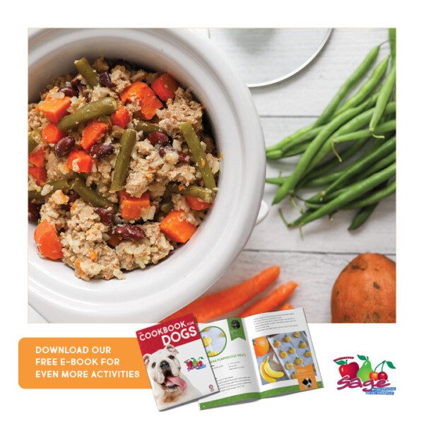 Homemade Dog Food Recipes Cookbook - The Produce Moms