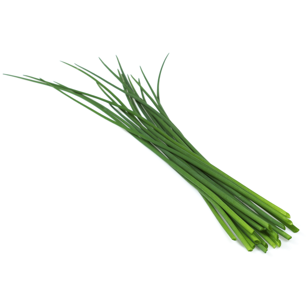 Chives Photo