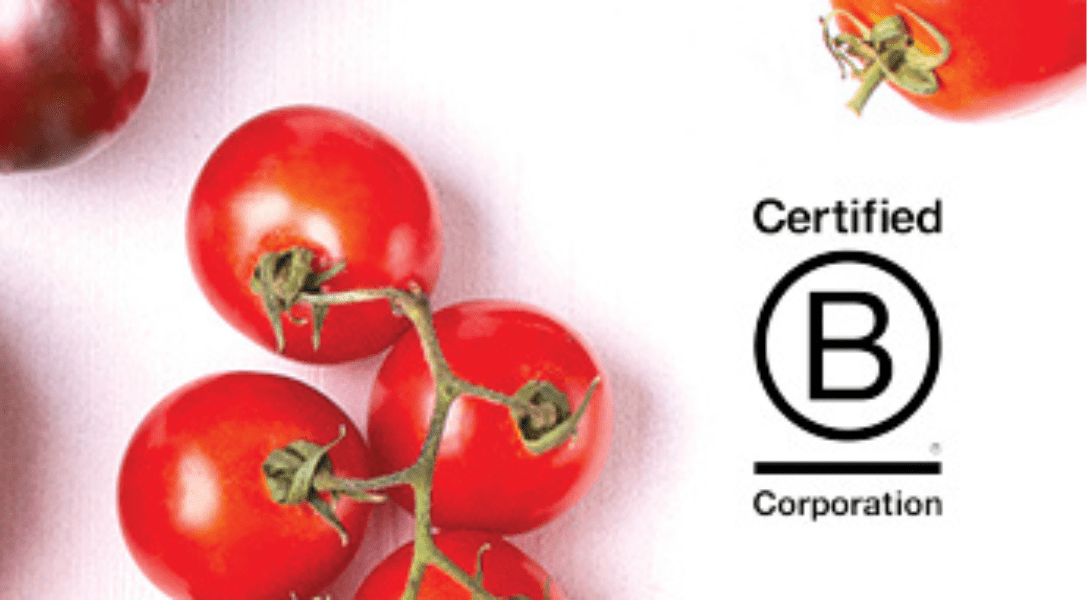 B Corp Certified Banner