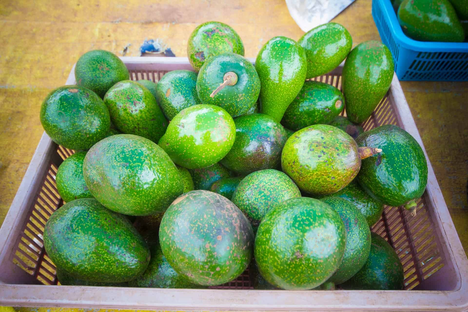 a basket of green avocados