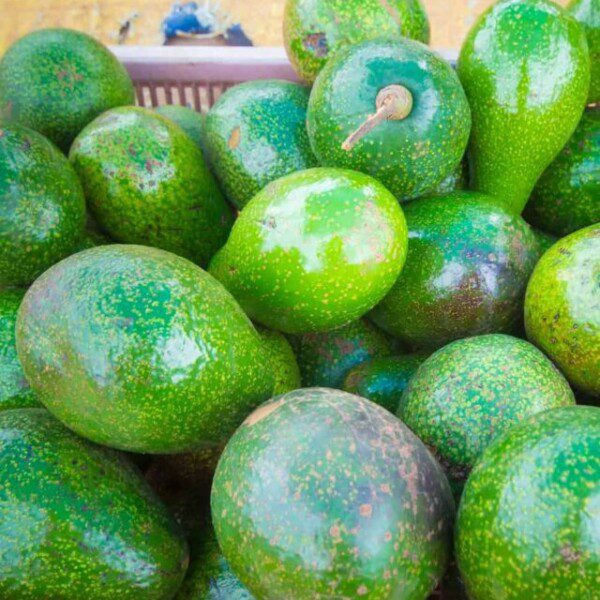a basket of green avocados