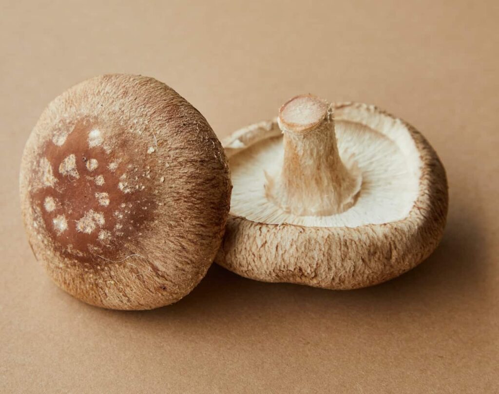 Mushrooms are a delicious vegetable for September