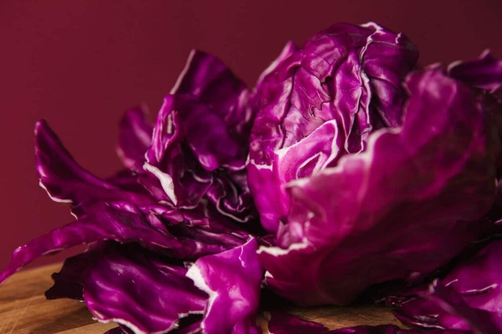 Red cabbage is delicious vegetable for September