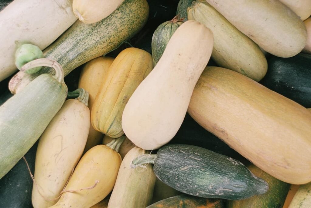 Spaghetti squash is a delicious vegetable for September