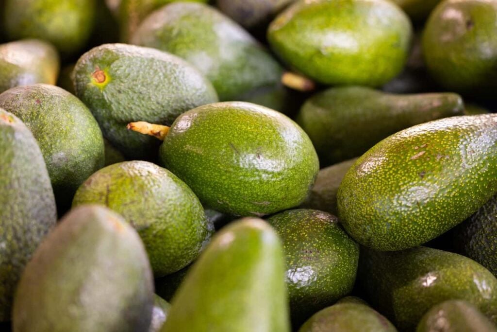 Tropical Avocado are delicious fruits for September