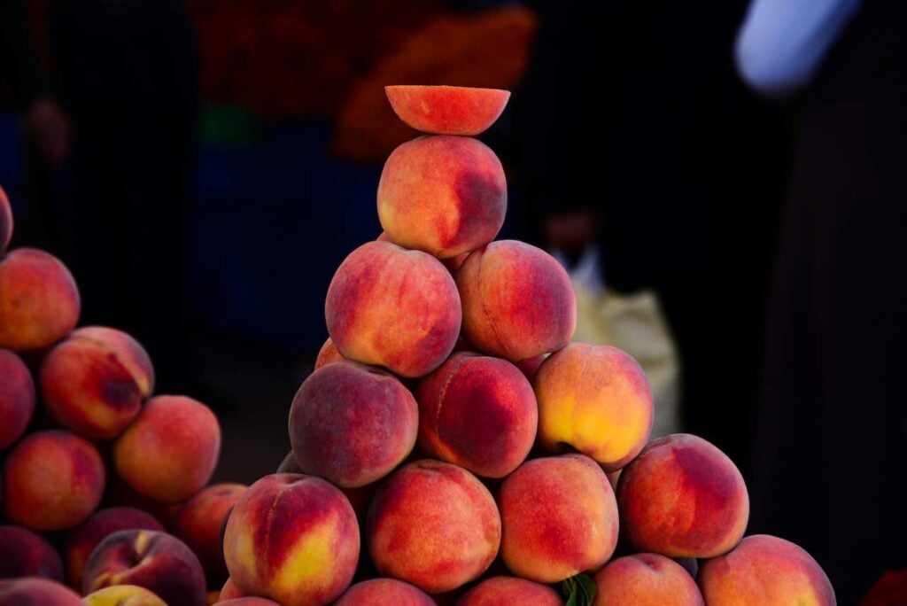 nectarines are delicious in august 