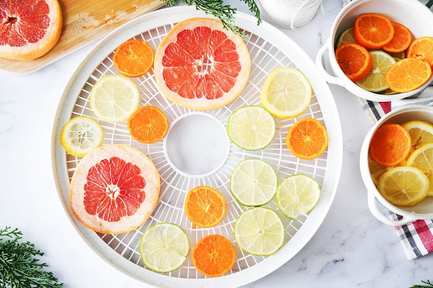 Dried Citrus with Dehydrator