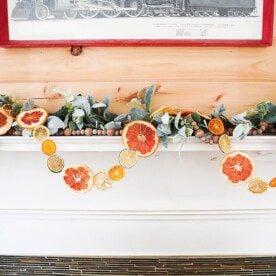 Dried Citrus Garland?