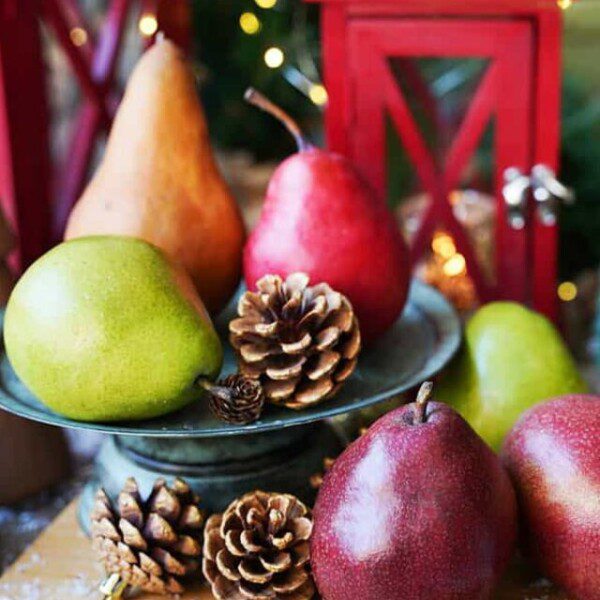 Holiday Gift Guide
