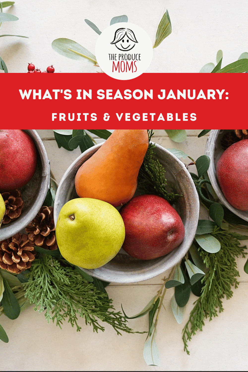 Pinterest Pins: January What's In Season
