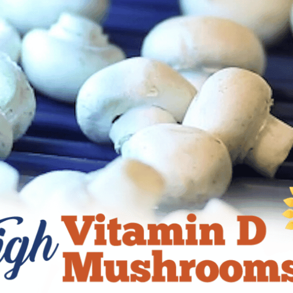 High Vitamin D Mushrooms