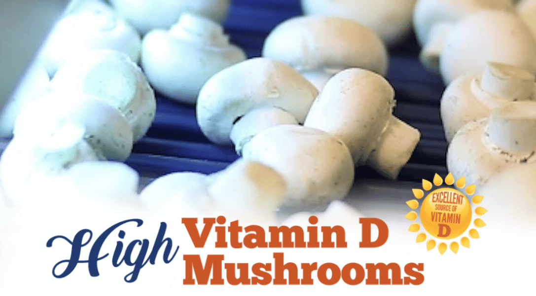 High Vitamin D Mushrooms