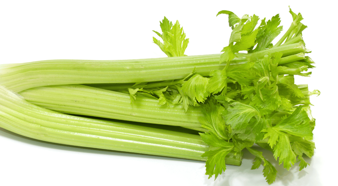 Bunch of celery