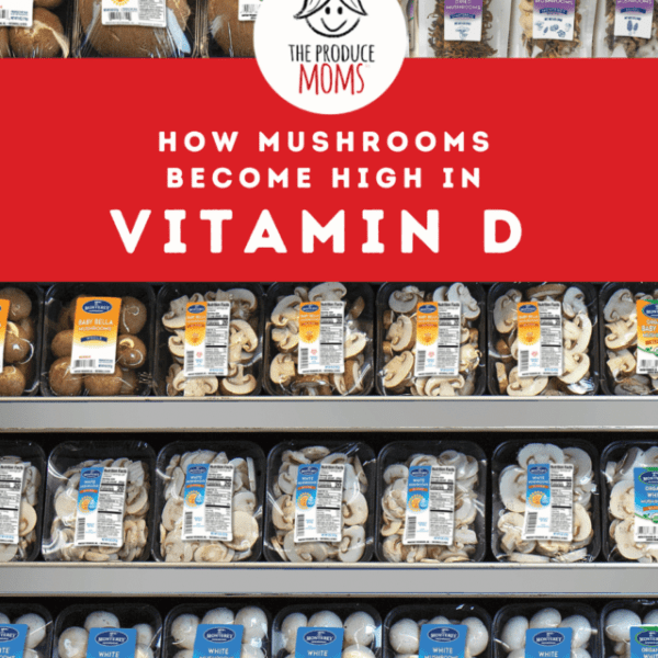 Pinterst Pin Vitamin D Mushrooms