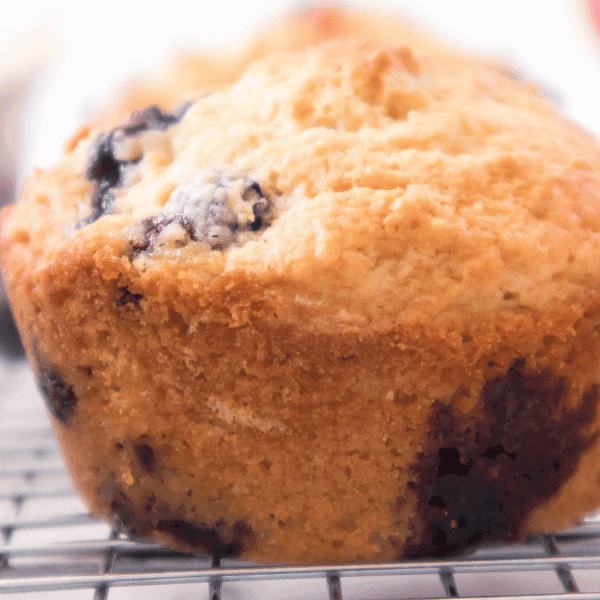 Single blueberry muffin