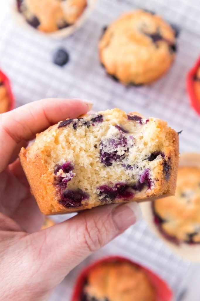 hand holding a blueberry muffin that has a bite taken out of