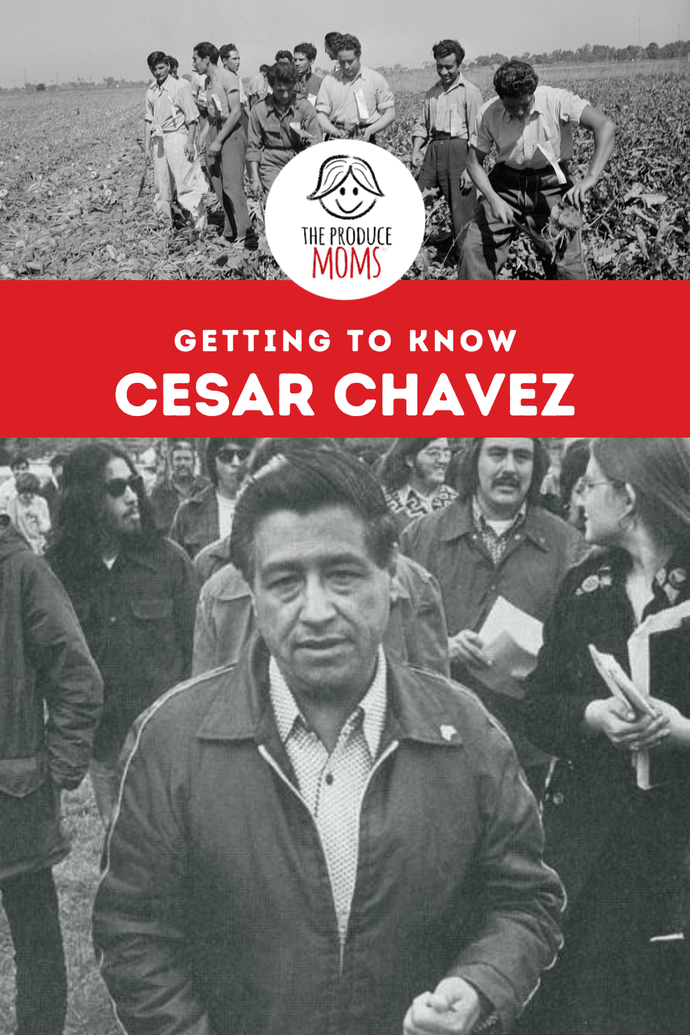 Pinterest Pin Getting To Know Cesar Chavez
