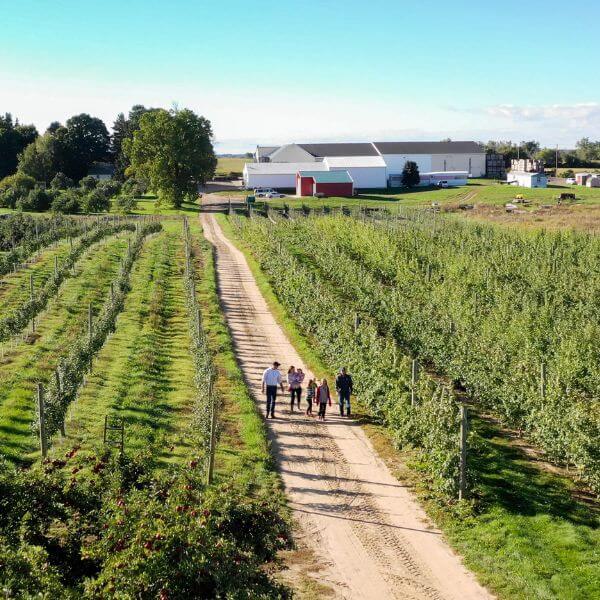 North Bay Co-Op apple orchard