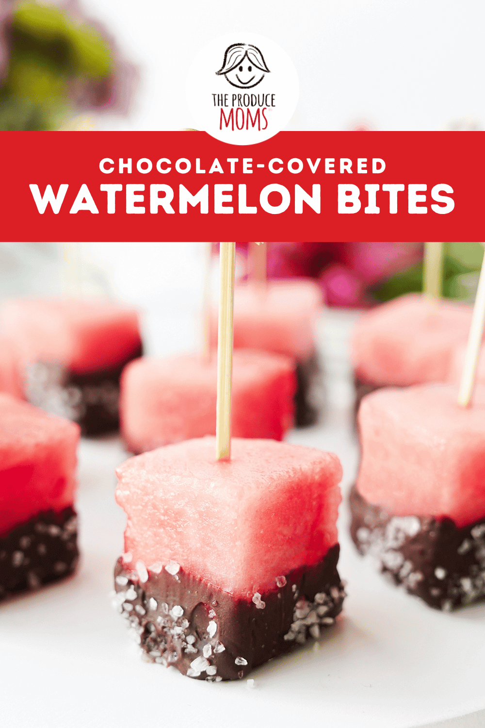 Pinterest Pin Watermelon Bites