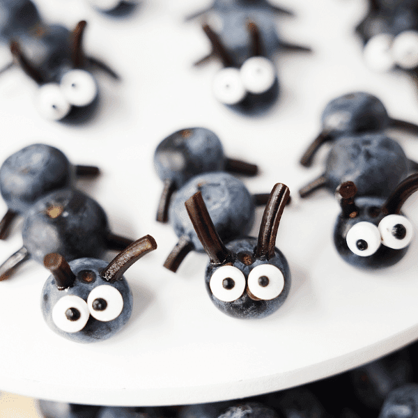 plate of food art: blueberry ants