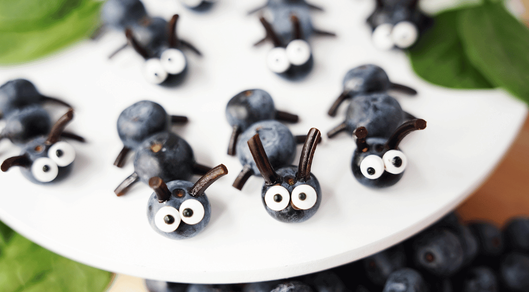 plate of food art: blueberry ants