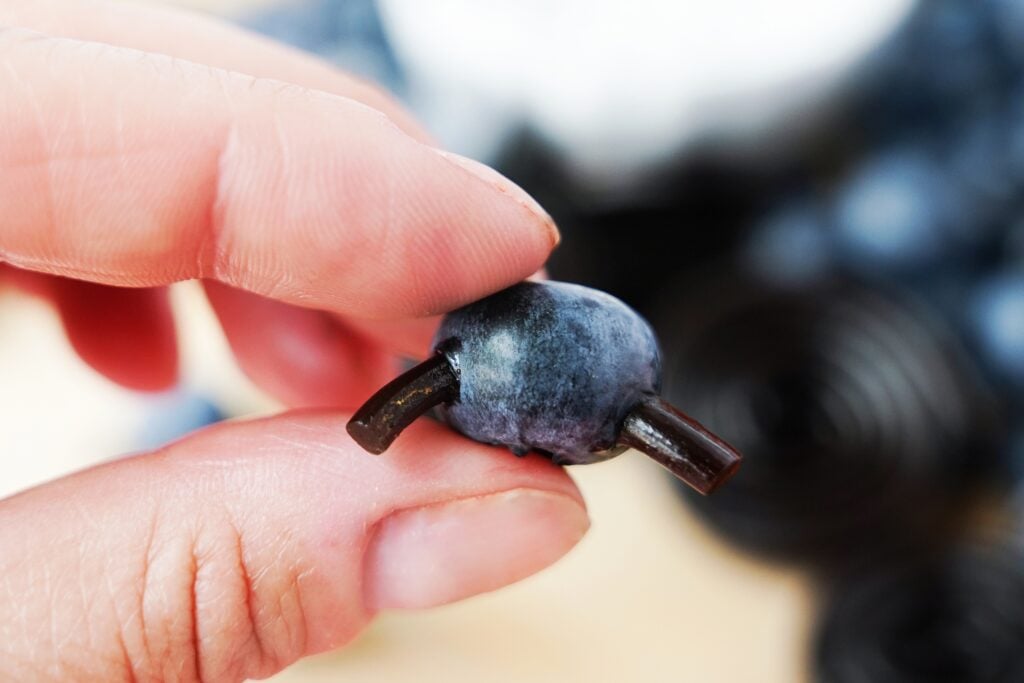 Licorice going through blueberry to make ant legs