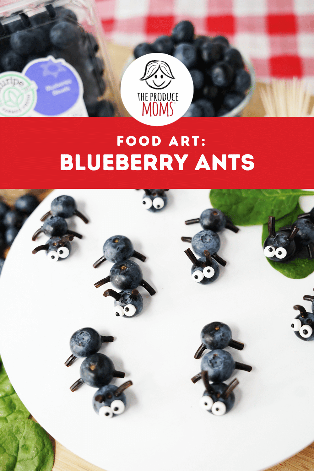 Pinterest Pin Blueberry Ants