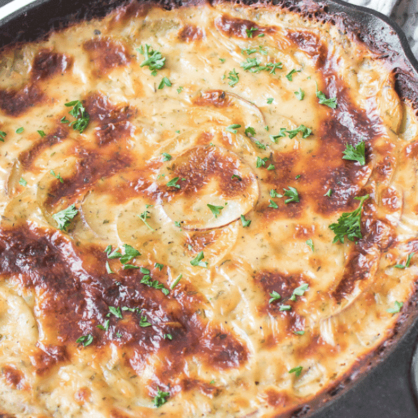 Cheesy Au Gratin Potatoes in cast iron skillet