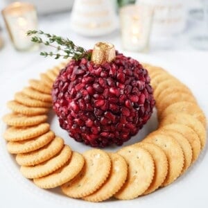 Pomegranate Cheese Ball Hero Image