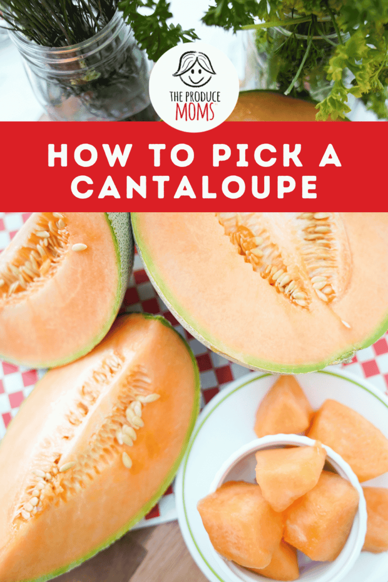 How To Pick A Cantaloupe The Produce Moms