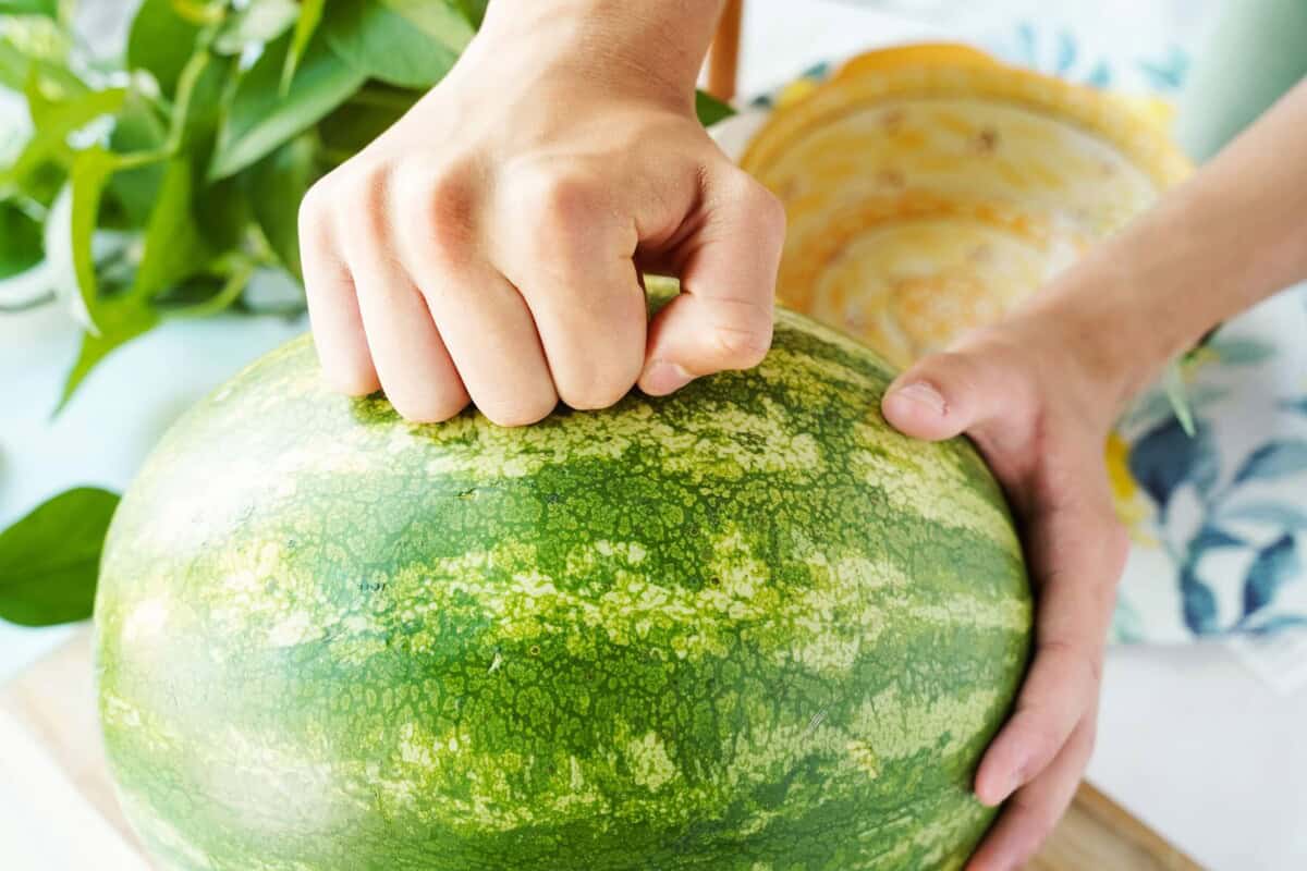 Hand knocking on watermelon