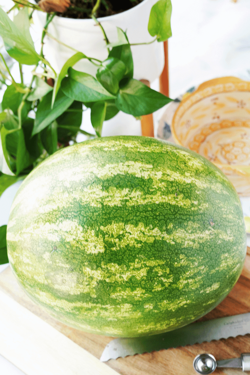whole watermelon