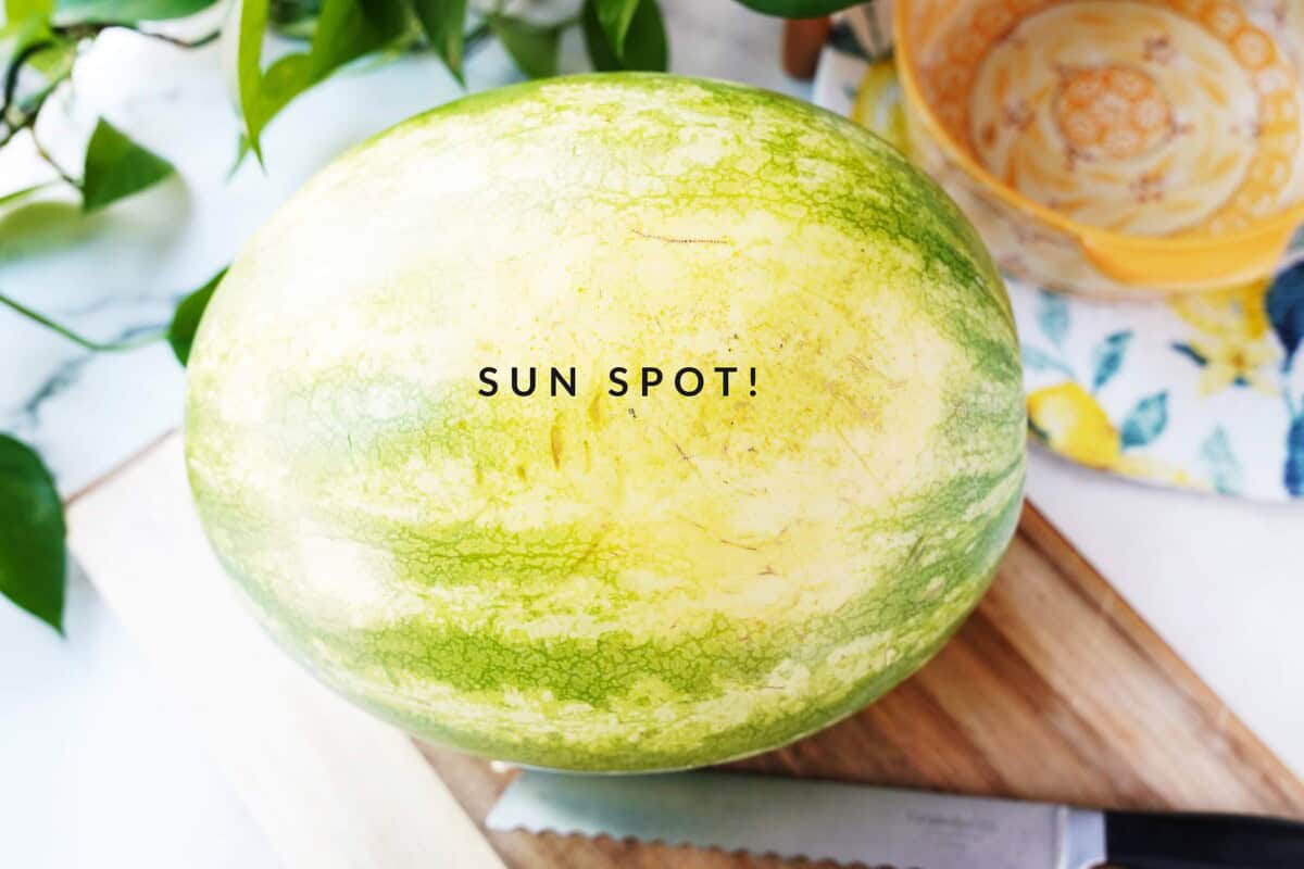 Showing sun spot on a watermelon for How to pick a good watermelon