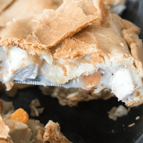 Chicken Pot Pie Close up