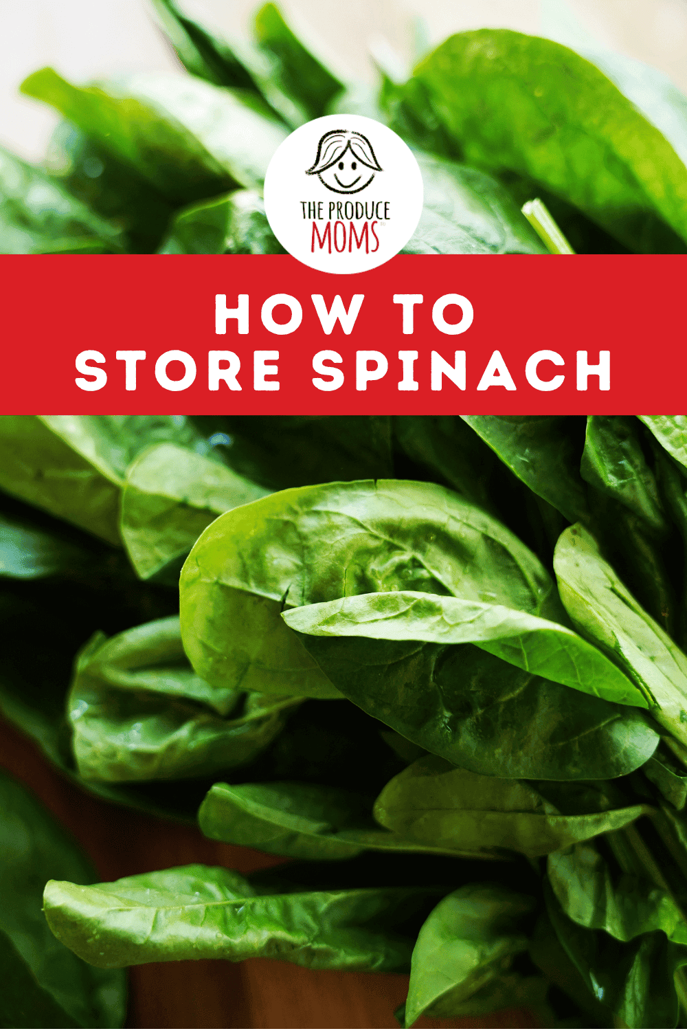 Pinterest Pin How To Store Spinach