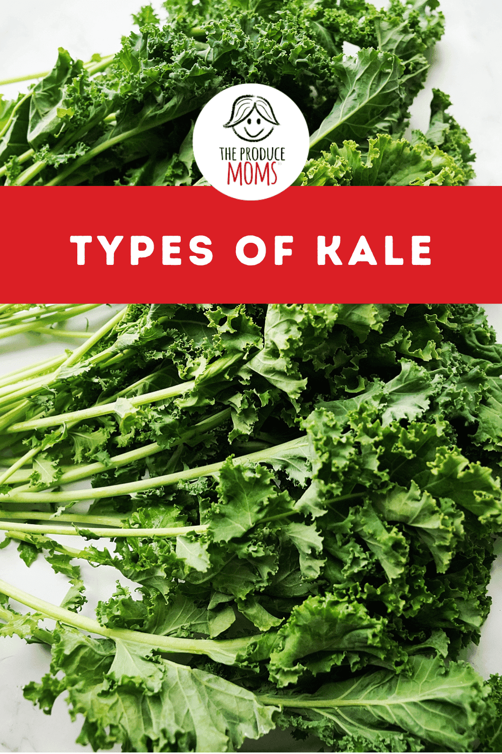 Pinterest Pin Types of Kale