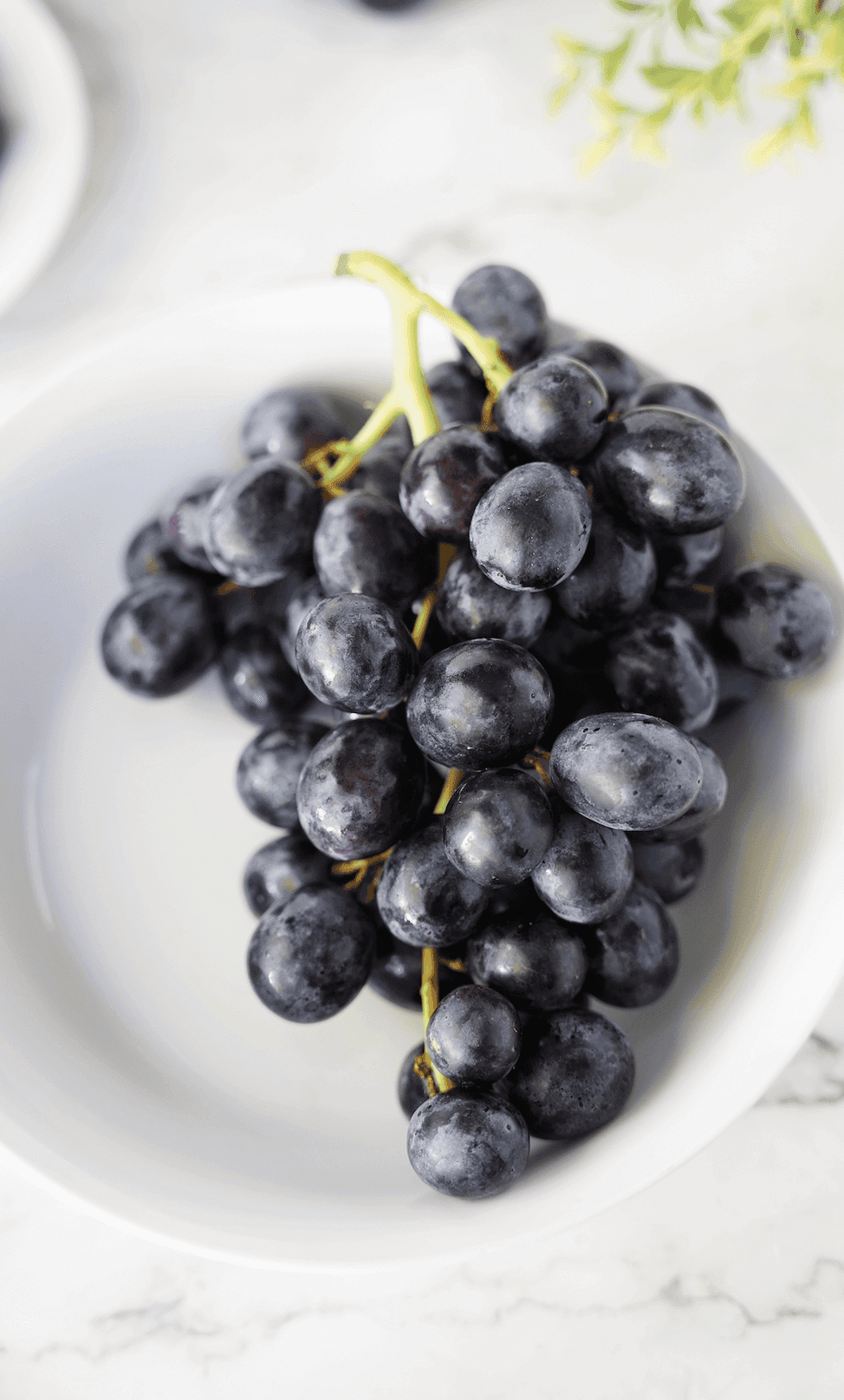 Sun World Black Grapes on white plate