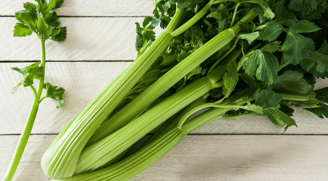 Blog Header of How To Store Celery