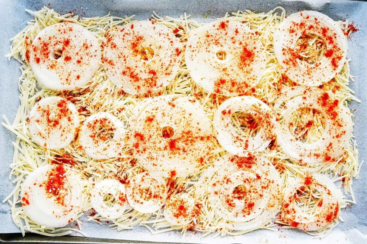 Crispy Onion Chips with seasoning