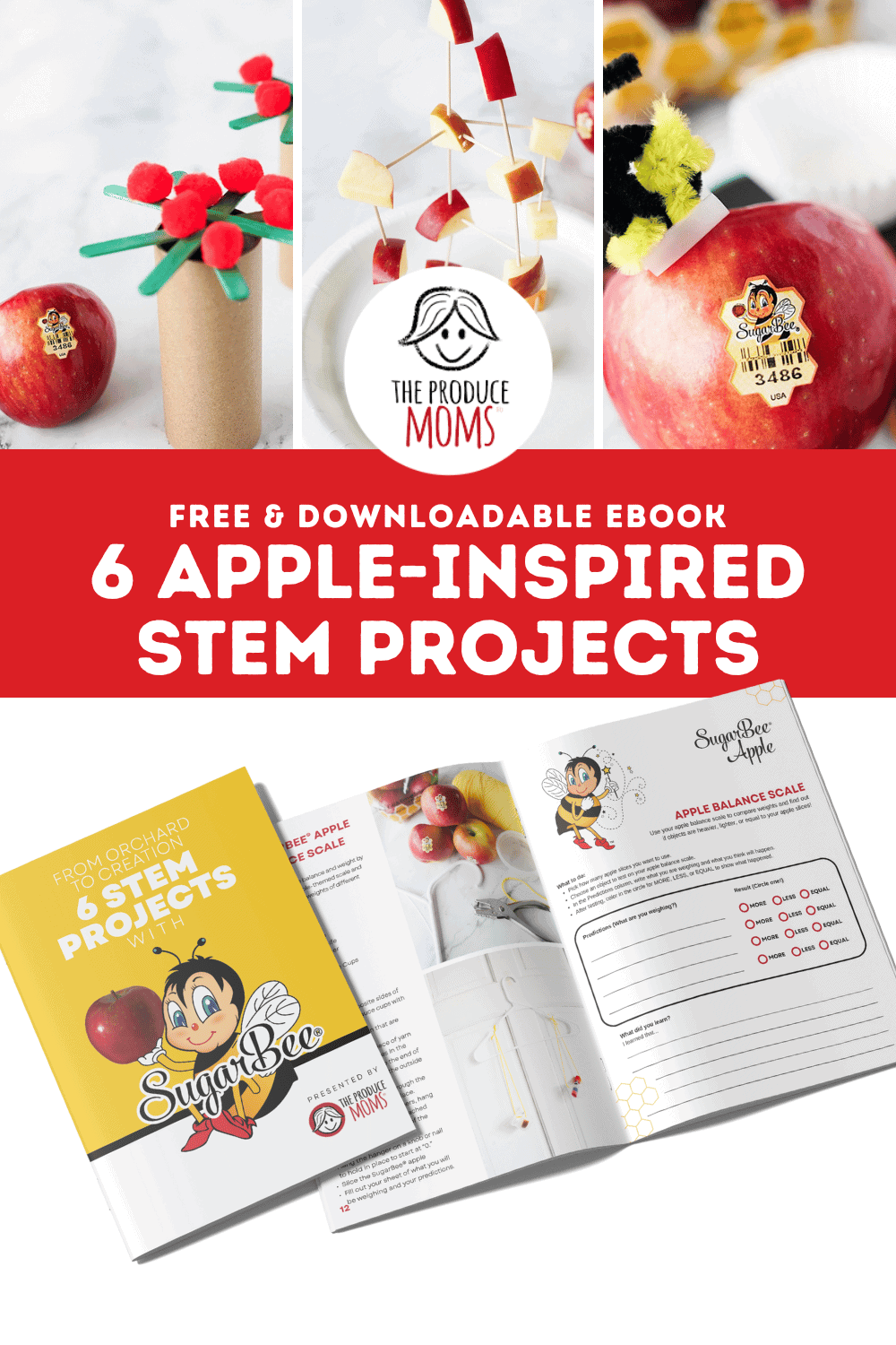 6 STEM Projects Pinterest Pin