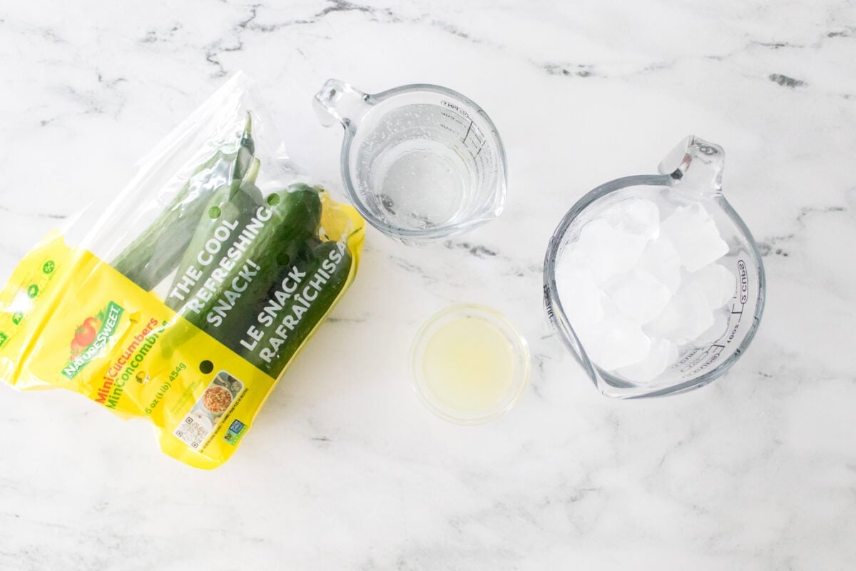 overhead shot of ingredients to make cucumber slushie
