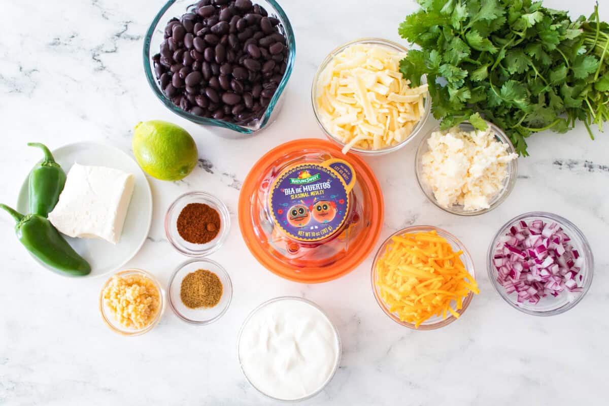 overhead shot of ingredients to make black bean dip