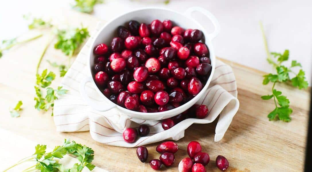 Close up of fresh cranberries in white bowl surrounded by herbs