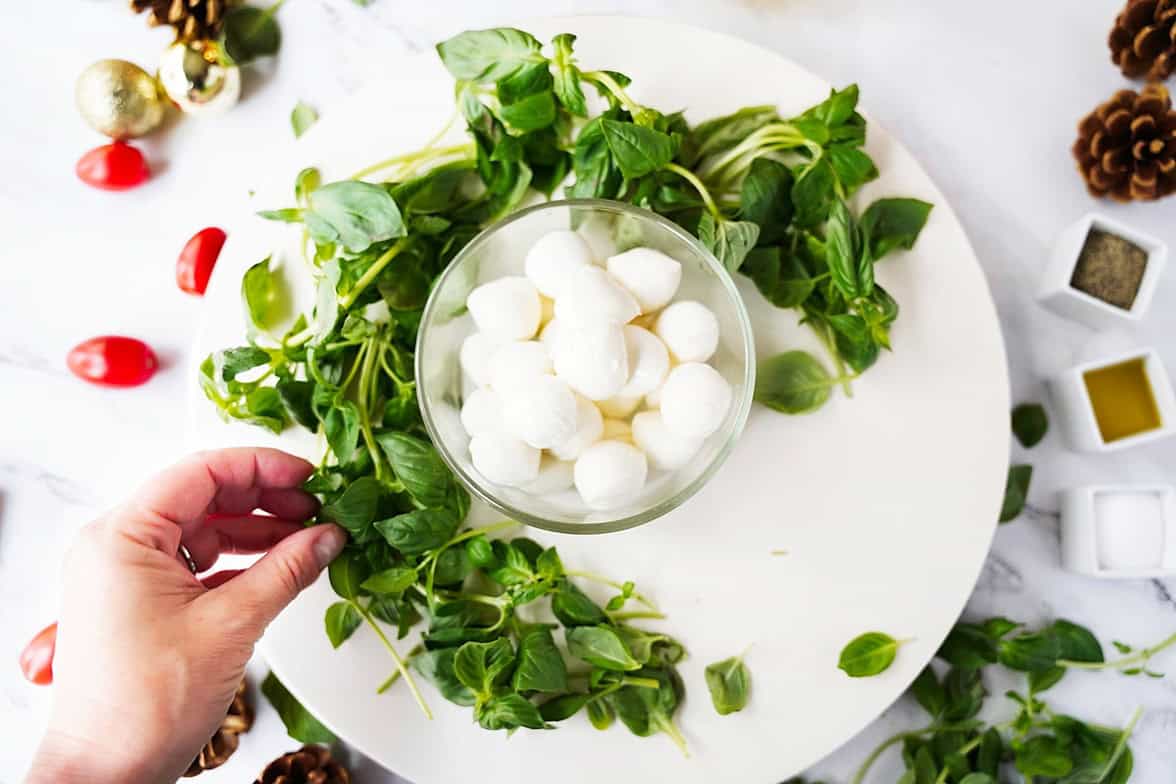 Arrange the basil on the serving plate.