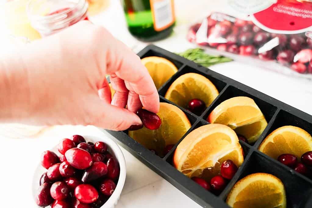 Adding orange slices and cranberries to ice cube mold