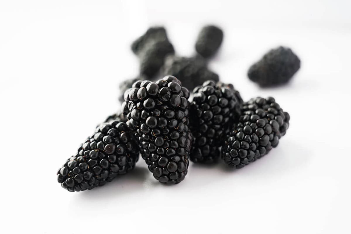 close up picture of blackberries with white background