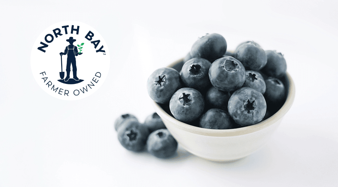 North Bay Logo in top left corner next to a bowl of white blueberries