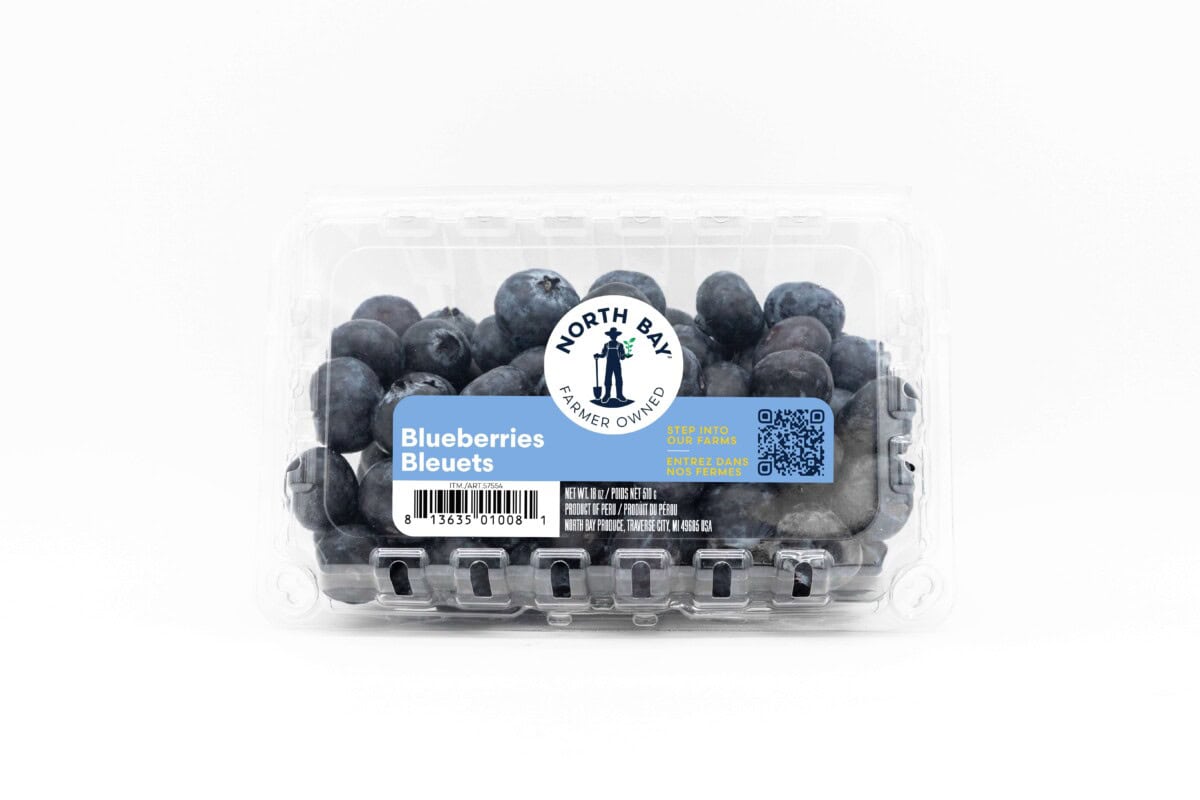 10 oz clashell of North Bay Produce blueberries with white background