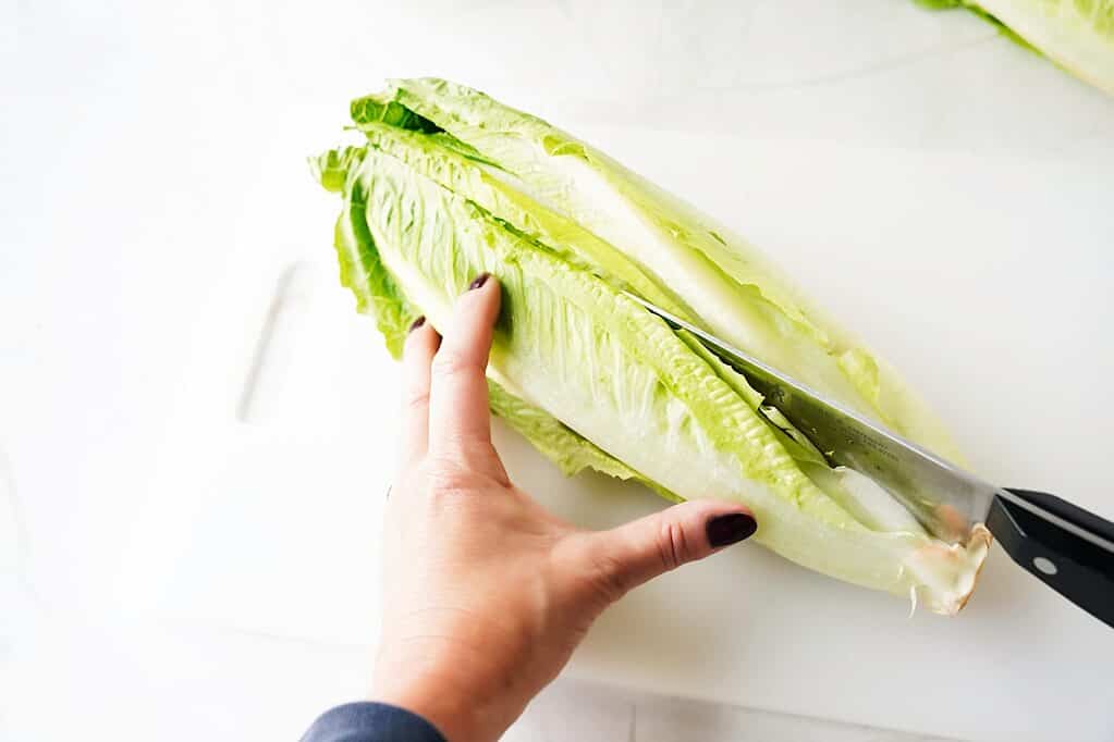 Step 1: Cutting the romaine lettuce lengthwise